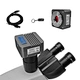 C Mount USB3.0 CCD Microscope Camera